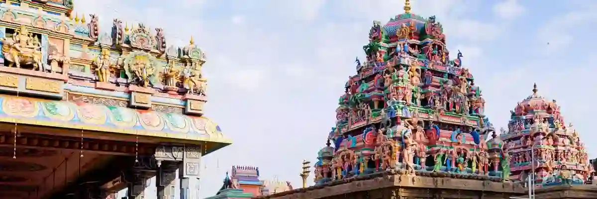 chennai Drivers | tatd.in